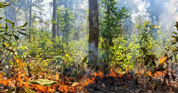 শেরপুরে গারো পাহাড়ে আগুন