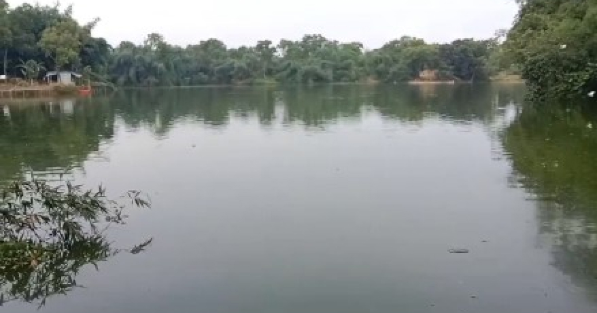 ময়মনসিংহে নিশিন্দা বিলের মাছ বিক্রি করে অর্ধ কোটি টাকা হাতিয়ে নেয়ার অভিযোগ